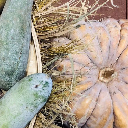 深圳vi設(shè)計公司作品案例展示