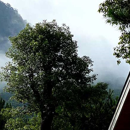 江山公司的vi設計公司